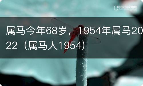 属马今年68岁，1954年属马2022（属马人1954）