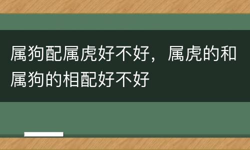 属狗配属虎好不好，属虎的和属狗的相配好不好