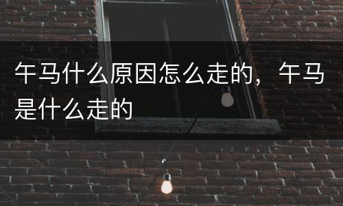 午马什么原因怎么走的，午马是什么走的