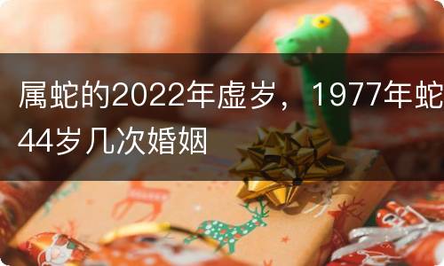 属蛇的2022年虚岁，1977年蛇44岁几次婚姻