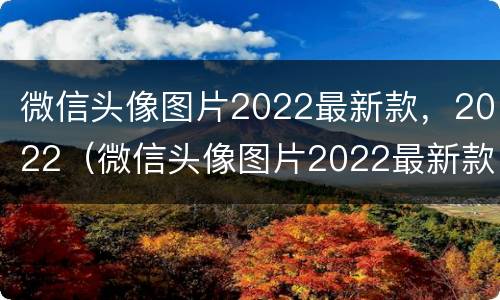 微信头像图片2022最新款，2022（微信头像图片2022最新款女）