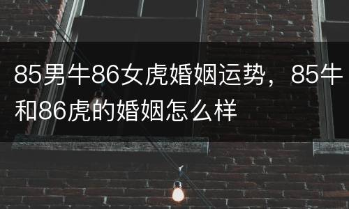 85男牛86女虎婚姻运势，85牛和86虎的婚姻怎么样