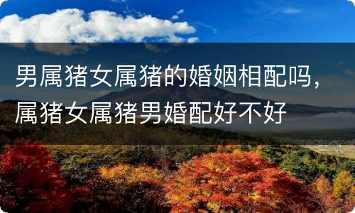 男属猪女属猪的婚姻相配吗，属猪女属猪男婚配好不好