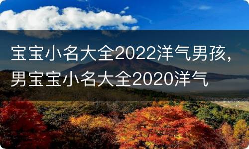 宝宝小名大全2022洋气男孩，男宝宝小名大全2020洋气