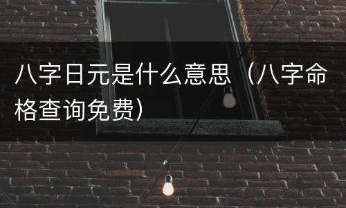 八字日元是什么意思（八字命格查询免费）