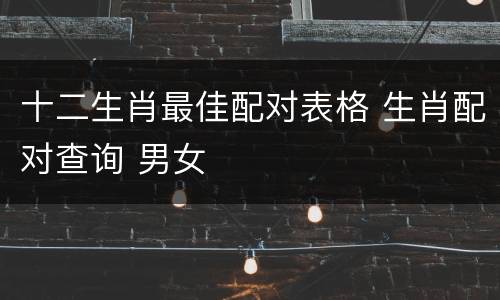 十二生肖最佳配对表格 生肖配对查询 男女