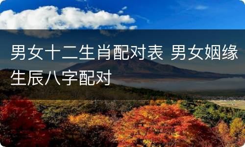 男女十二生肖配对表 男女姻缘生辰八字配对