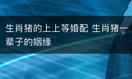 生肖猪的上上等婚配 生肖猪一辈子的姻缘