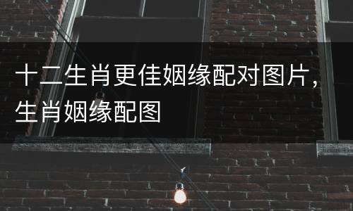十二生肖更佳姻缘配对图片，生肖姻缘配图