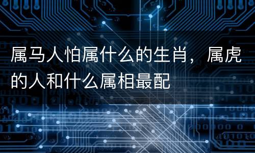 属马人怕属什么的生肖，属虎的人和什么属相最配