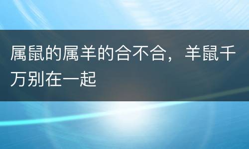 属鼠的属羊的合不合，羊鼠千万别在一起