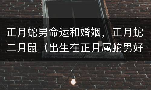 正月蛇男命运和婚姻，正月蛇二月鼠（出生在正月属蛇男好吗）