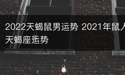 2022天蝎鼠男运势 2021年鼠人天蝎座运势