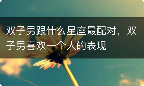 双子男跟什么星座最配对，双子男喜欢一个人的表现