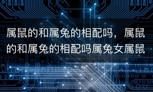 属鼠的和属兔的相配吗，属鼠的和属兔的相配吗属兔女属鼠男