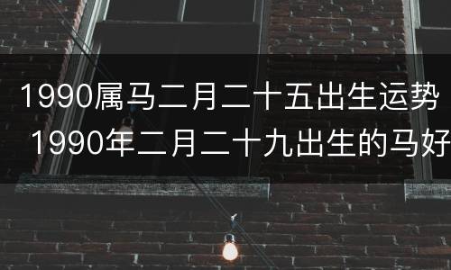 1990属马二月二十五出生运势 1990年二月二十九出生的马好吗