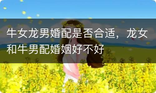 牛女龙男婚配是否合适，龙女和牛男配婚姻好不好