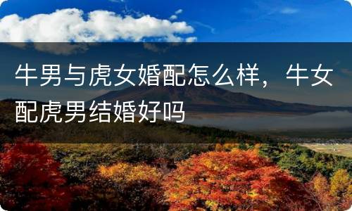 牛男与虎女婚配怎么样，牛女配虎男结婚好吗