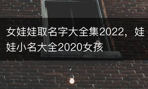女娃娃取名字大全集2022，娃娃小名大全2020女孩