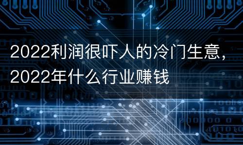 2022利润很吓人的冷门生意，2022年什么行业赚钱