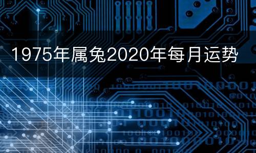 1975年属兔2020年每月运势
