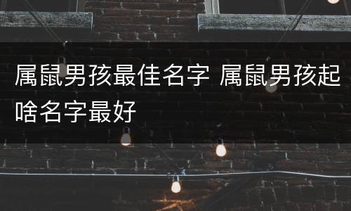 属鼠男孩最佳名字 属鼠男孩起啥名字最好