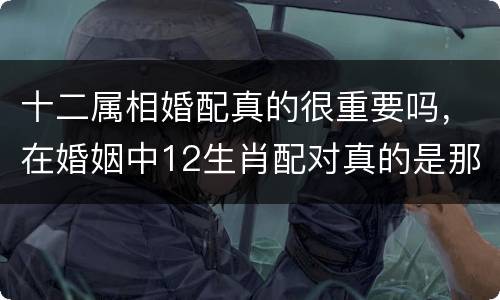 十二属相婚配真的很重要吗，在婚姻中12生肖配对真的是那么重要吗？