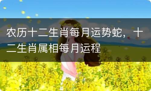 农历十二生肖每月运势蛇，十二生肖属相每月运程