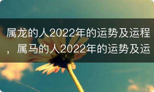 属龙的人2022年的运势及运程，属马的人2022年的运势及运程
