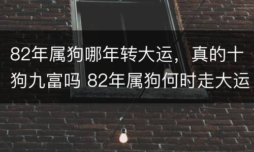 82年属狗哪年转大运，真的十狗九富吗 82年属狗何时走大运!看一看后面走不走大运
