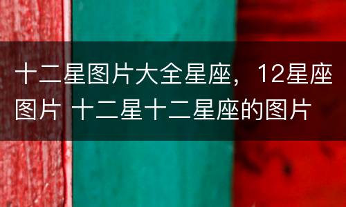 十二星图片大全星座，12星座图片 十二星十二星座的图片