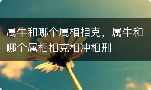 属牛和哪个属相相克，属牛和哪个属相相克相冲相刑