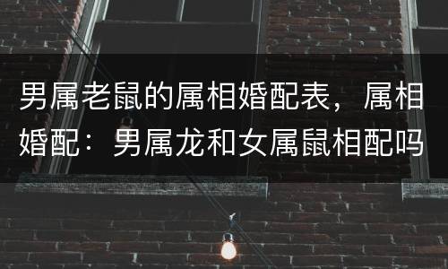 男属老鼠的属相婚配表，属相婚配：男属龙和女属鼠相配吗