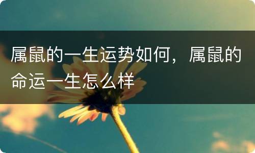 属鼠的一生运势如何，属鼠的命运一生怎么样