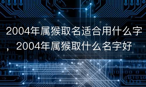2004年属猴取名适合用什么字，2004年属猴取什么名字好