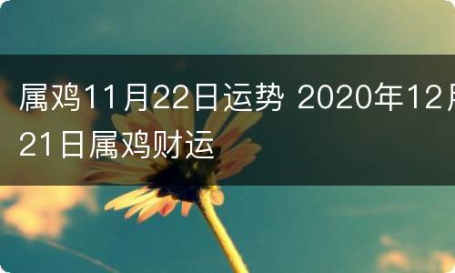 属鸡11月22日运势 2020年12月21日属鸡财运