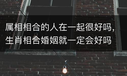 属相相合的人在一起很好吗，生肖相合婚姻就一定会好吗
