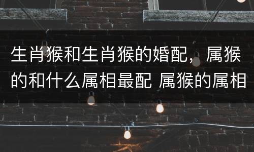 生肖猴和生肖猴的婚配，属猴的和什么属相最配 属猴的属相婚配表