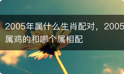 2005年属什么生肖配对，2005属鸡的和哪个属相配