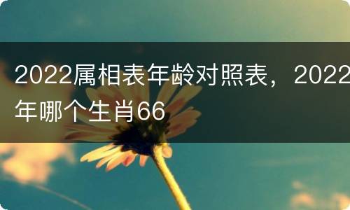 2022属相表年龄对照表，2022年哪个生肖66