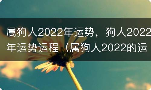 属狗人2022年运势，狗人2022年运势运程（属狗人2022的运势）