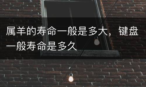 属羊的寿命一般是多大，键盘一般寿命是多久