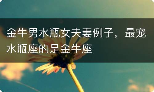金牛男水瓶女夫妻例子，最宠水瓶座的是金牛座