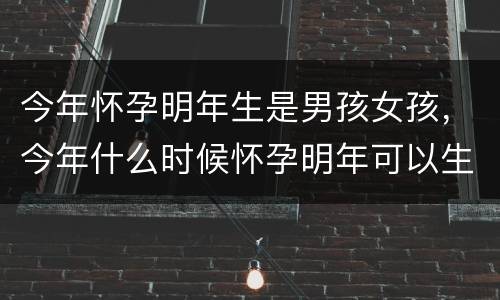 今年怀孕明年生是男孩女孩，今年什么时候怀孕明年可以生男孩