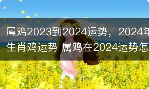 属鸡2023到2024运势，2024年生肖鸡运势 属鸡在2024运势怎样