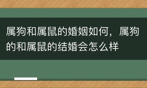 属狗和属鼠的婚姻如何，属狗的和属鼠的结婚会怎么样
