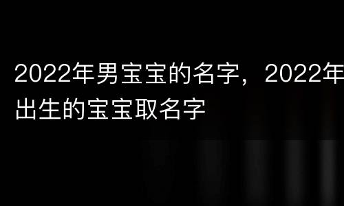 2022年男宝宝的名字，2022年出生的宝宝取名字