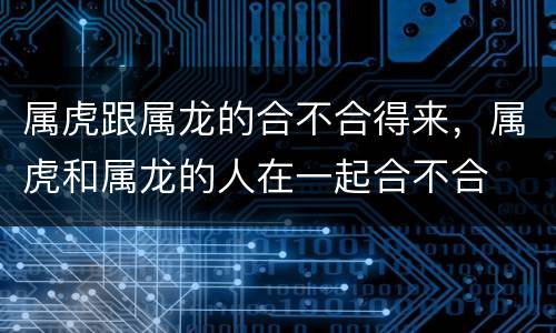 属虎跟属龙的合不合得来，属虎和属龙的人在一起合不合