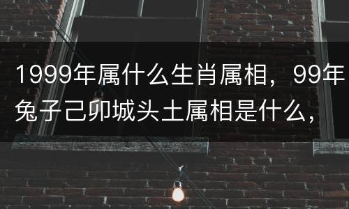 1999年属什么生肖属相，99年兔子己卯城头土属相是什么，1