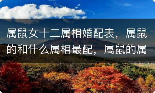 属鼠女十二属相婚配表，属鼠的和什么属相最配，属鼠的属相婚配表女，属鼠的